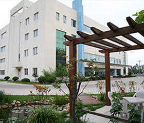 天（tiān）佐公（gōng）司