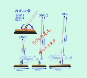 馬尾掃帚