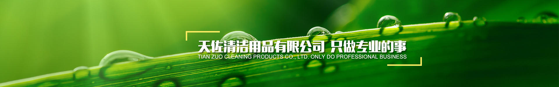 酒店清（qīng）潔用品