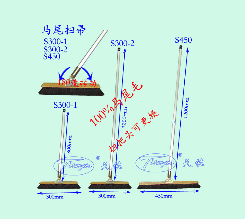 馬尾掃（sǎo）帚